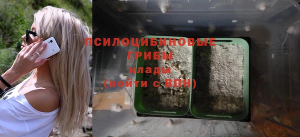первитин Новозыбков