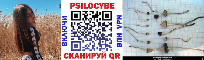 Галлюциногенные грибы ЛСД hydra зеркало Онега